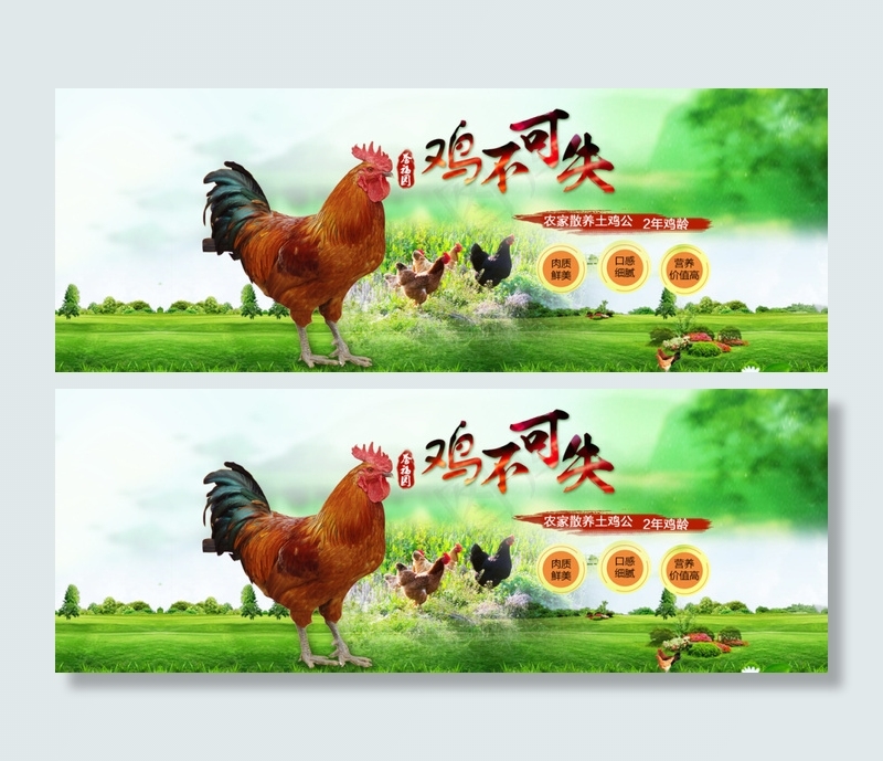 土鸡公psd模版下载