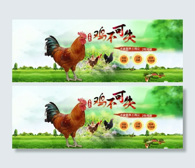 土鸡公psd模版下载