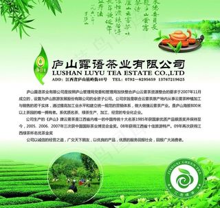 茶业公司海报图片