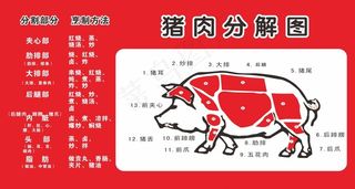 猪肉分割图