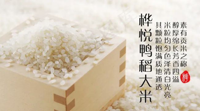 大米海报psd模版下载