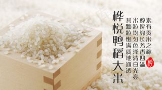 大米海报
