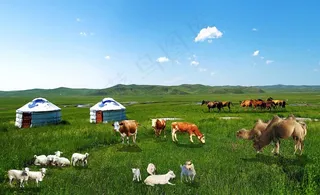 草原五种动物图片