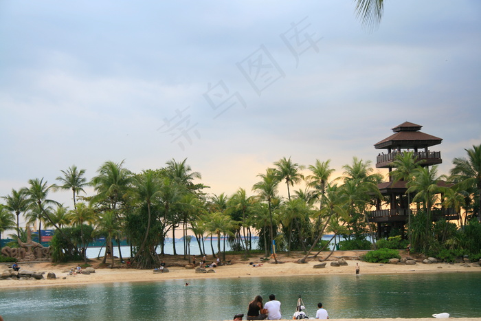 海滩椰子树图片