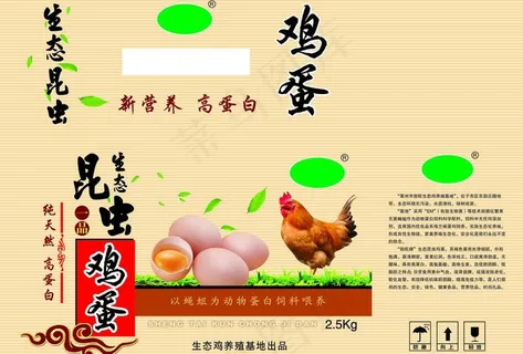 鸡蛋箱图片