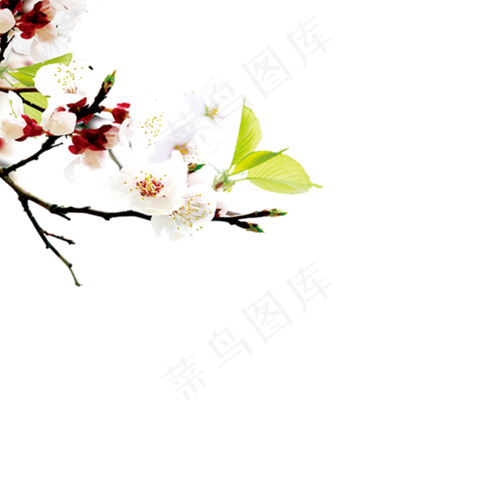 唯美樱花桃花海报png免扣素材