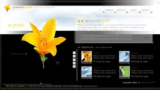 设计工作室FALSH