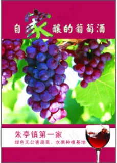 葡萄园 葡萄园