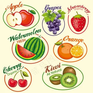 高清矢量水果标签