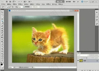 实战用细化工具抠毛发