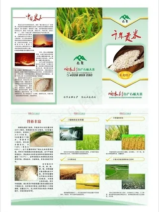 特产三折页图片