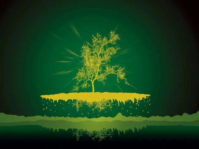 中国风PSD分层海报素材生命自然(3543X2657(DPI:300))psd模版下载