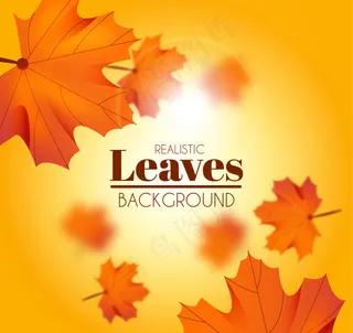 秋天的树叶模糊的背景