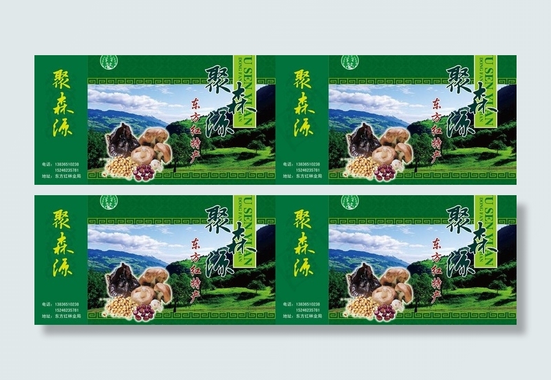 聚森源手提袋设计图片