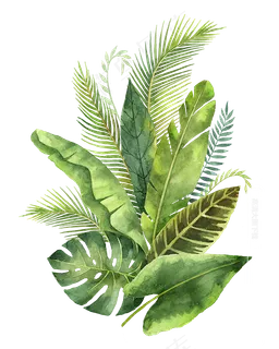 水彩手绘清新绿色蕨类植物芭蕉