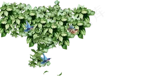 透明植物背景