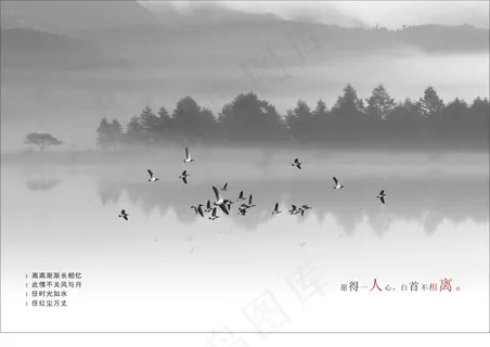 中国风唯美创意画册模板下载