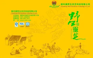 灵芝茶广告设计