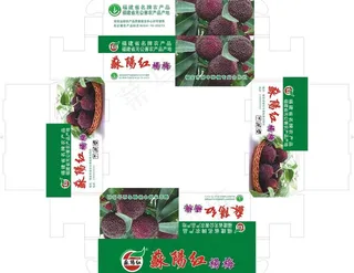 杨梅包装纸箱图片