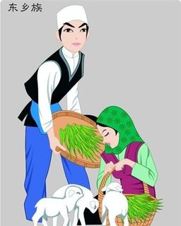 东乡族 五十六个民族 中华传统 装饰 AI