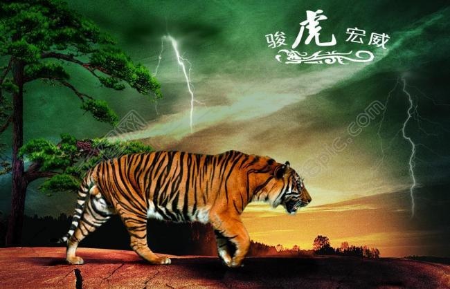 骏虎宏威图片(3543X2480(DPI:300))psd模版下载