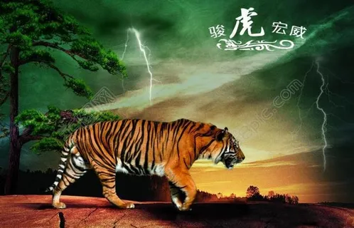 骏虎宏威图片 骏虎宏威图片
