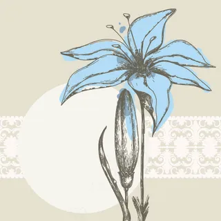 淡雅手绘花卉线稿矢量素材