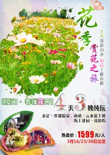 【春意十足 “温”暖花开】-厦门旅...