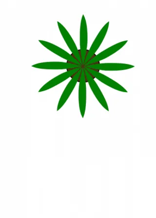 绿色植物的俯视图的矢量绘图