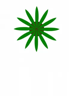 绿色植物的俯视图的矢量绘图 绿色植物的俯视图的矢量绘图