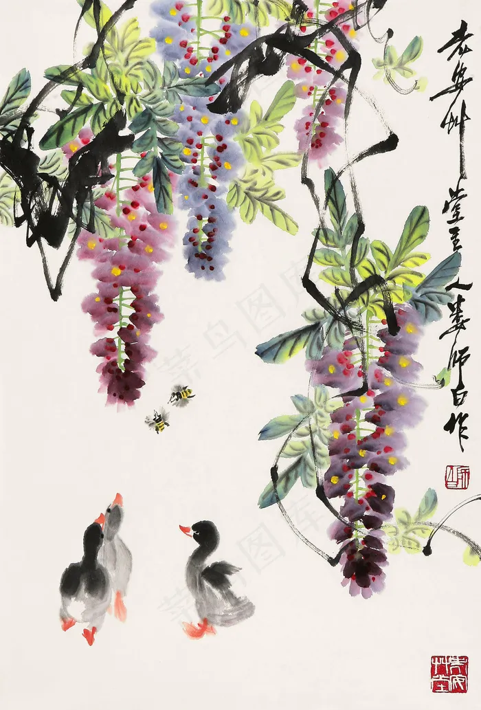 紫藤小鸭图片