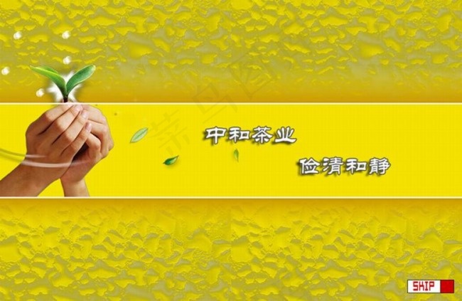 茶叶公司片头