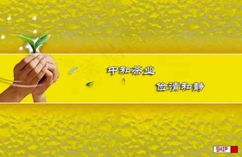 茶叶公司片头