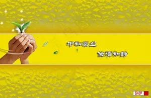 茶叶公司片头