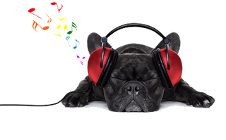 可爱卡通动物看书学习PNG透明背景...