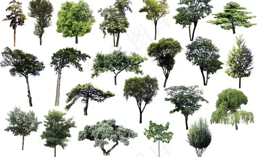 园林绿色树木设计psd分层素材图片