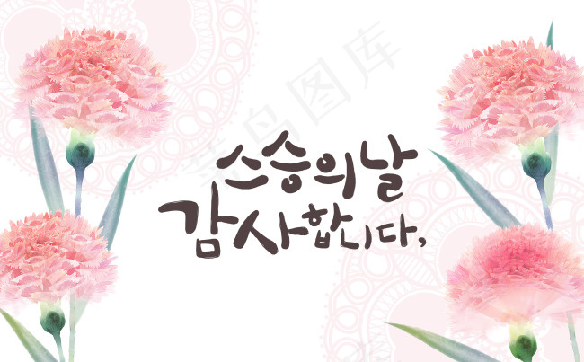 康乃馨韩国广告