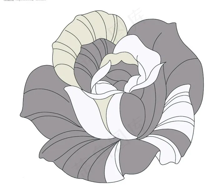 手绘线描效果玫瑰花psd分层素材5...