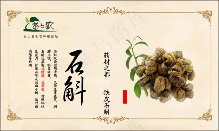 石斛标签    石斛    灰标签(210X297)cdr矢量模版下载