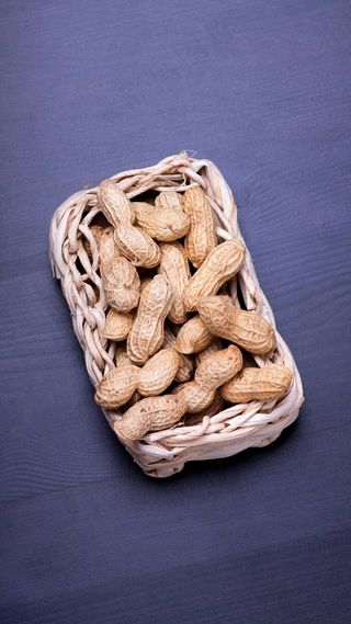 花生高清摄影图片