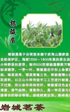 茶叶简介图片cdr矢量模版下载