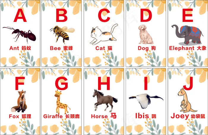 幼儿识图卡cdr矢量模版下载