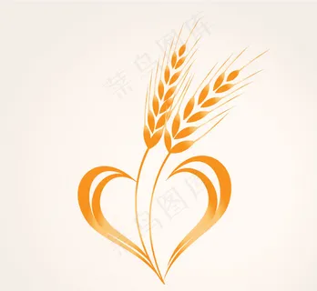 金色小麦矢量素材