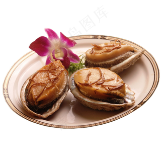 生蚝  免扣 素材 海鲜