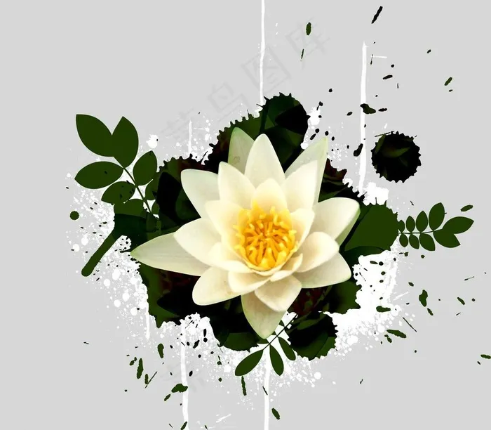 花朵 古典素材图片psd模版下载