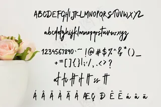 小清新女式包装袋图案海报字体设计