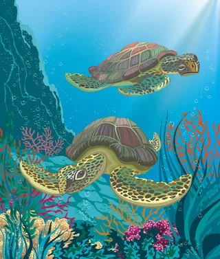 蔚蓝海底世界风光矢量素材