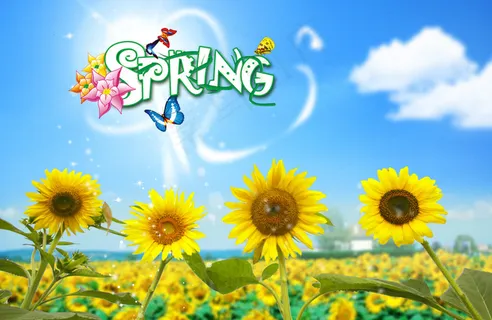 向日葵海报PSD分层