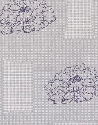 大布纹_布纹_大纹(技术组专用)