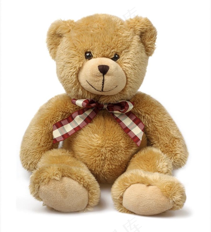 泰迪熊图片